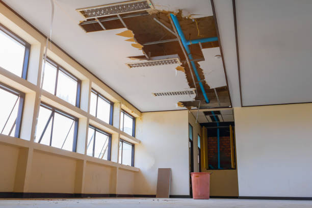 Best Mold removal after water damage  in Terryville, CT