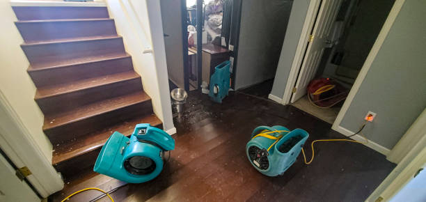 Best Commercial water damage restoration  in Terryville, CT