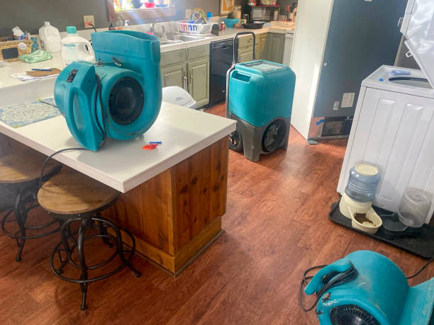 Best Emergency water damage restoration  in Terryville, CT