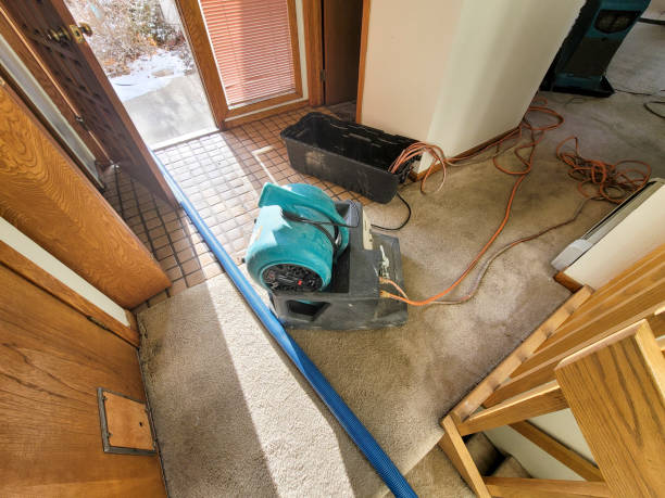 Best Flooded house restoration  in Terryville, CT