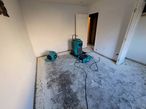 Best Water damage restoration company  in Terryville, CT