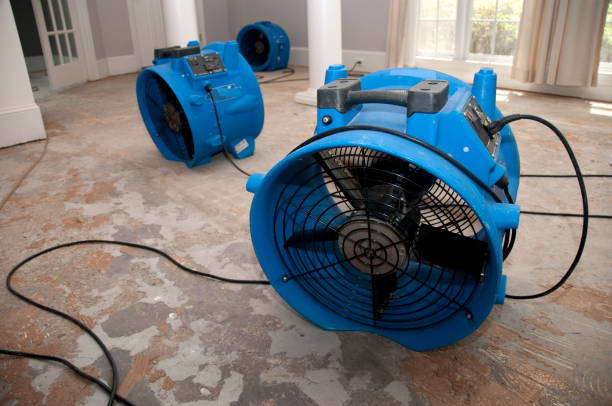 Best 24-hour water damage restoration  in Terryville, CT