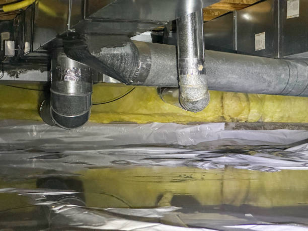 Best Water damage repair service  in Terryville, CT
